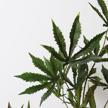 Load image into Gallery viewer, Medium Artificial Cannabis Plant
