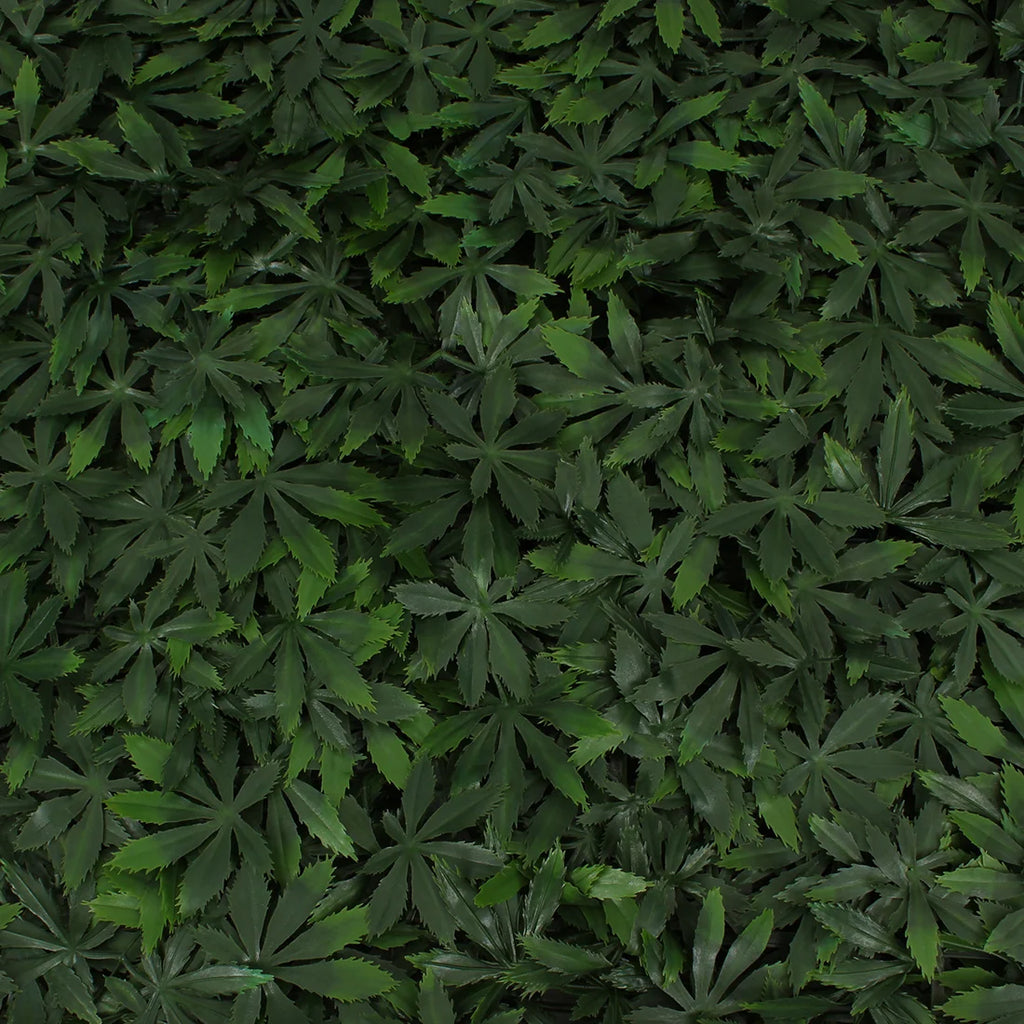 Cannabis Greenery Panel – 3rd Street Inn Greenery