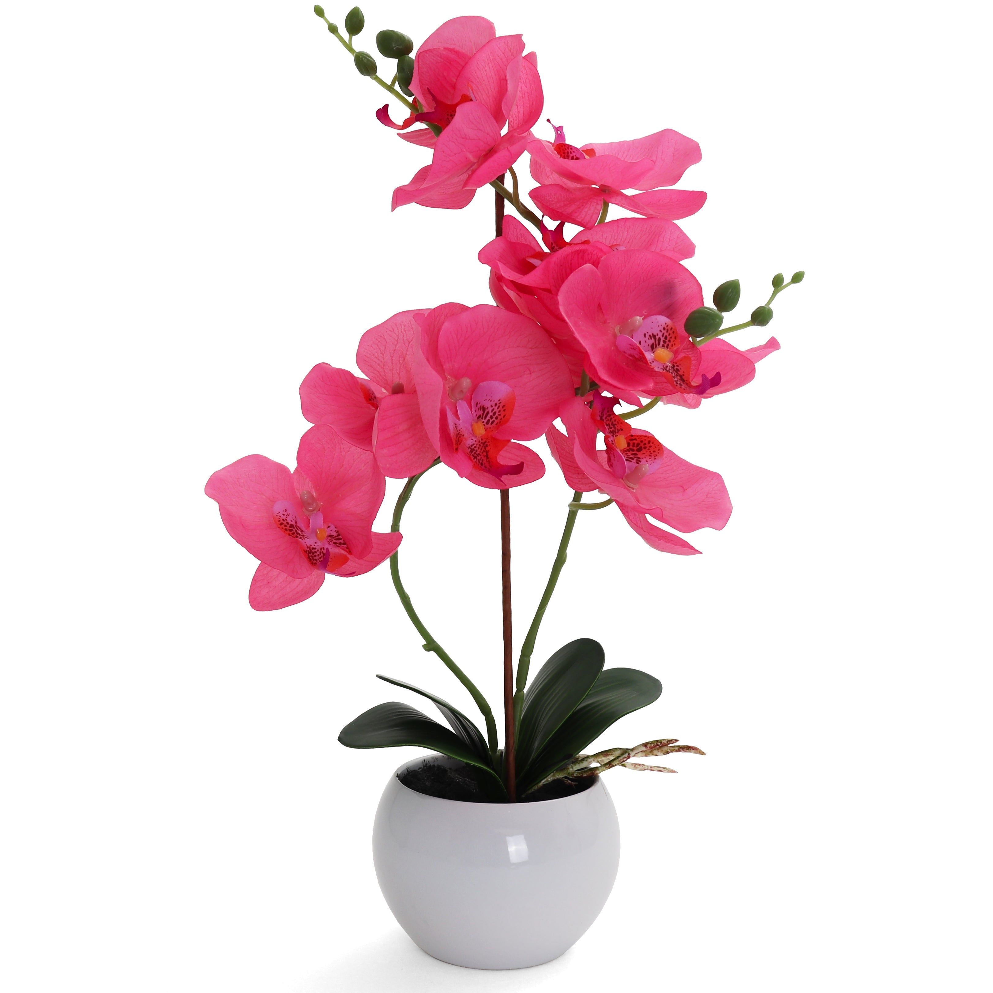 Hot Pink Artificial Orchids in a Black Cube Vase, Faux Orchid