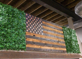 Turn Heads & Boost Shares: Why Faux Cannabis Walls Are a Must for Dispensaries