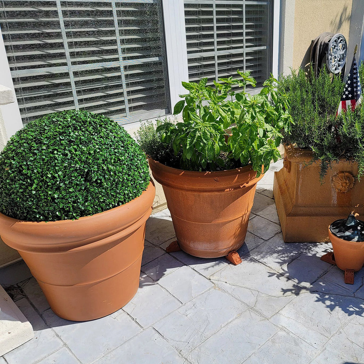 balls for plant pots 21" XXL Boxwood Topiary Ball 1 pack