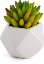 Load image into Gallery viewer, Artificial Sedum Pachyphyllum Succulent

