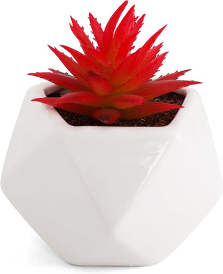 Artificial Red Crassula Succulent