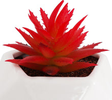 Load image into Gallery viewer, Artificial Red Crassula Succulent
