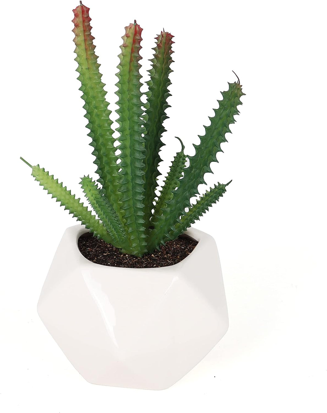 Artificial Euphorbia Trigona Succulent
