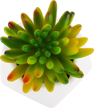Artificial Sedum Pachyphyllum Succulent