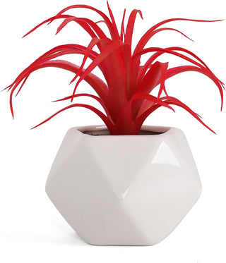 Artificial Red Tillandsia Succulent