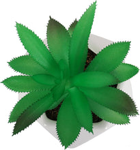 Load image into Gallery viewer, Artificial Dyckia Platyphylla Succulent
