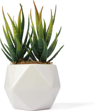 Load image into Gallery viewer, Artificial Aloe Succulent
