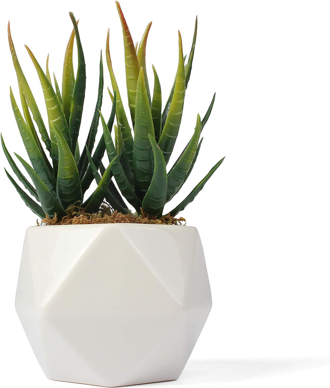 Artificial Aloe Succulent