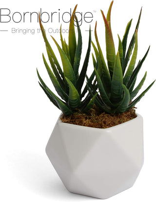 Artificial Aloe Succulent