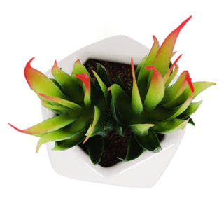 Artificial Aloe Microstigma Succulent