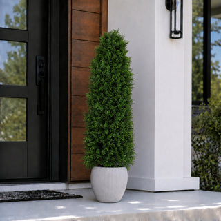 4' Cedar Tower Tree