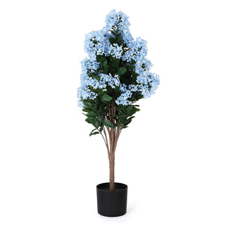 Potted Blue Hydrangea