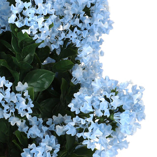 potted blue hydrangea plants Potted Blue Hydrangea – 3rd Street Inn Greenery