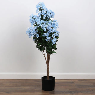 Potted Blue Hydrangea