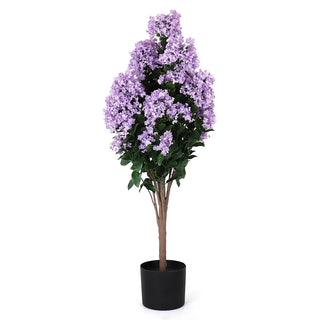 Potted Purple Hydrangea