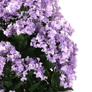 Potted Purple Hydrangea