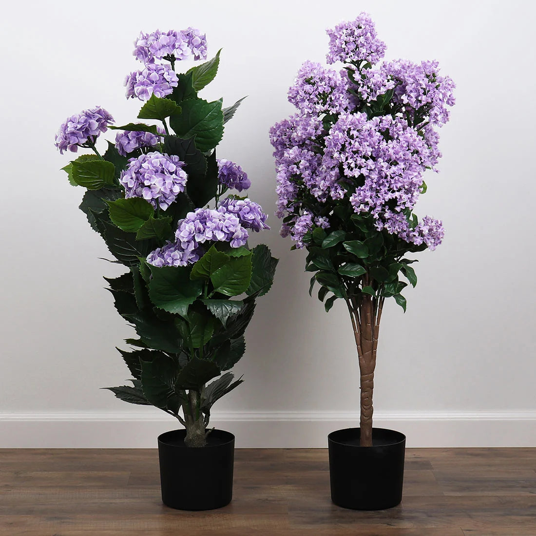 lilac indoor plant Potted Purple Lilac