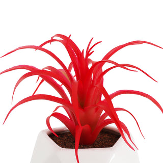 Artificial Red Tillandsia Succulent