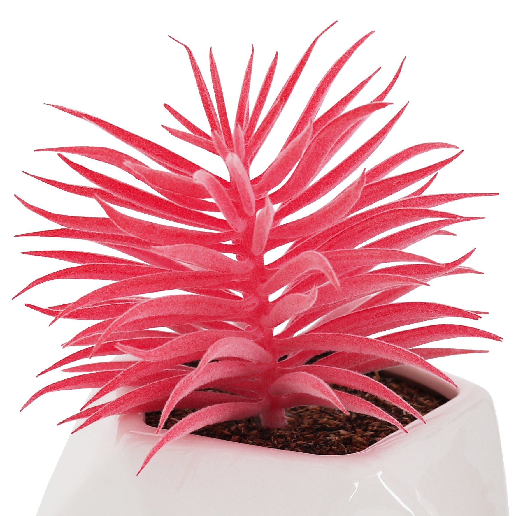 serpens succulent Artificial Succulent - 1 pack