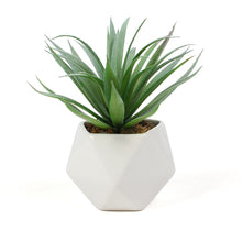 Load image into Gallery viewer, Artificial Agave Macroacantha Succulent
