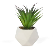 Load image into Gallery viewer, Artificial Agave Stricta Succulent
