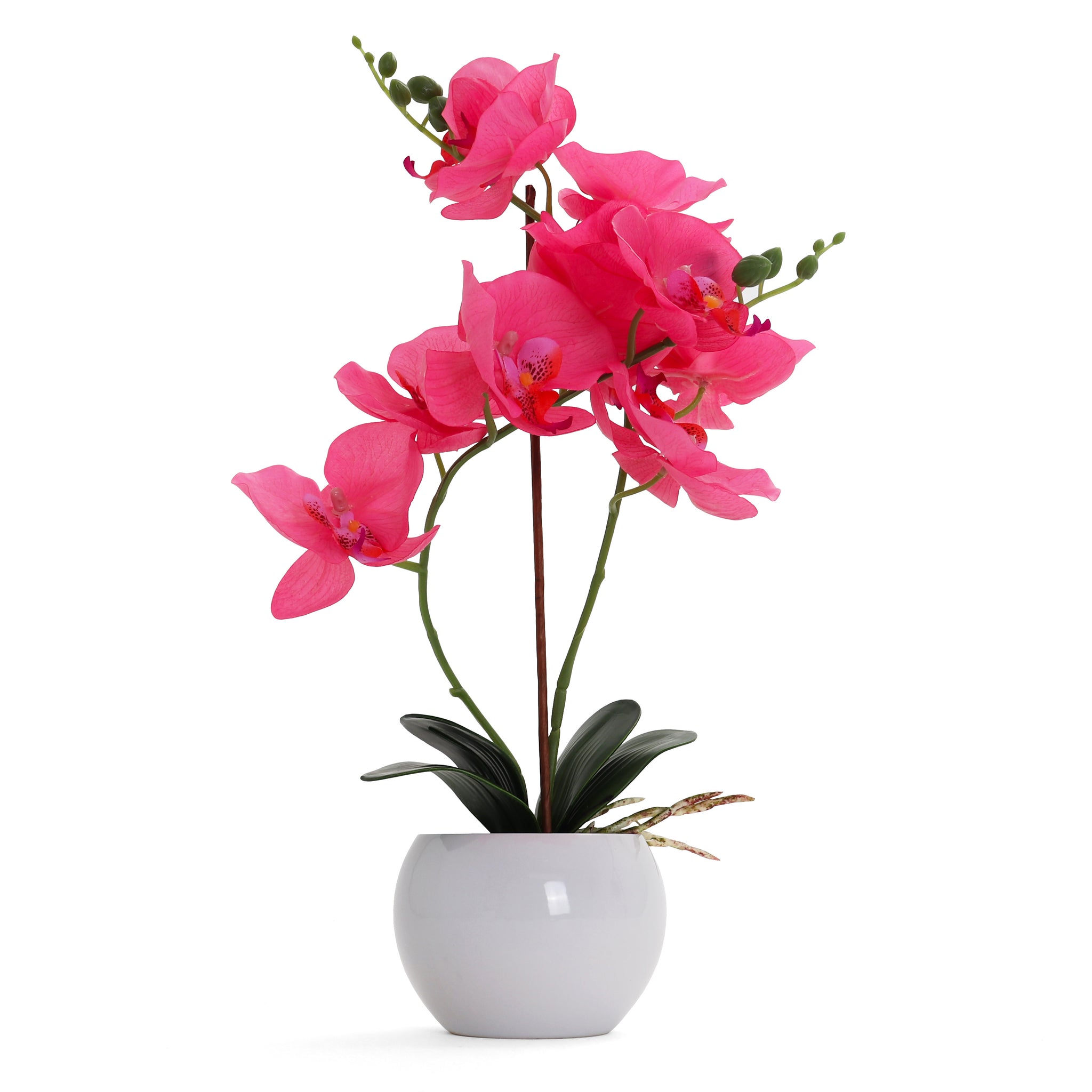 Hot Pink Artificial Orchids in a Black Cube Vase, Faux Orchid