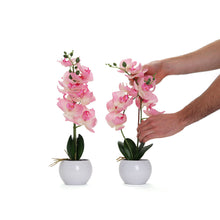 Load image into Gallery viewer, Light Pink Artificial Orchid - Large

