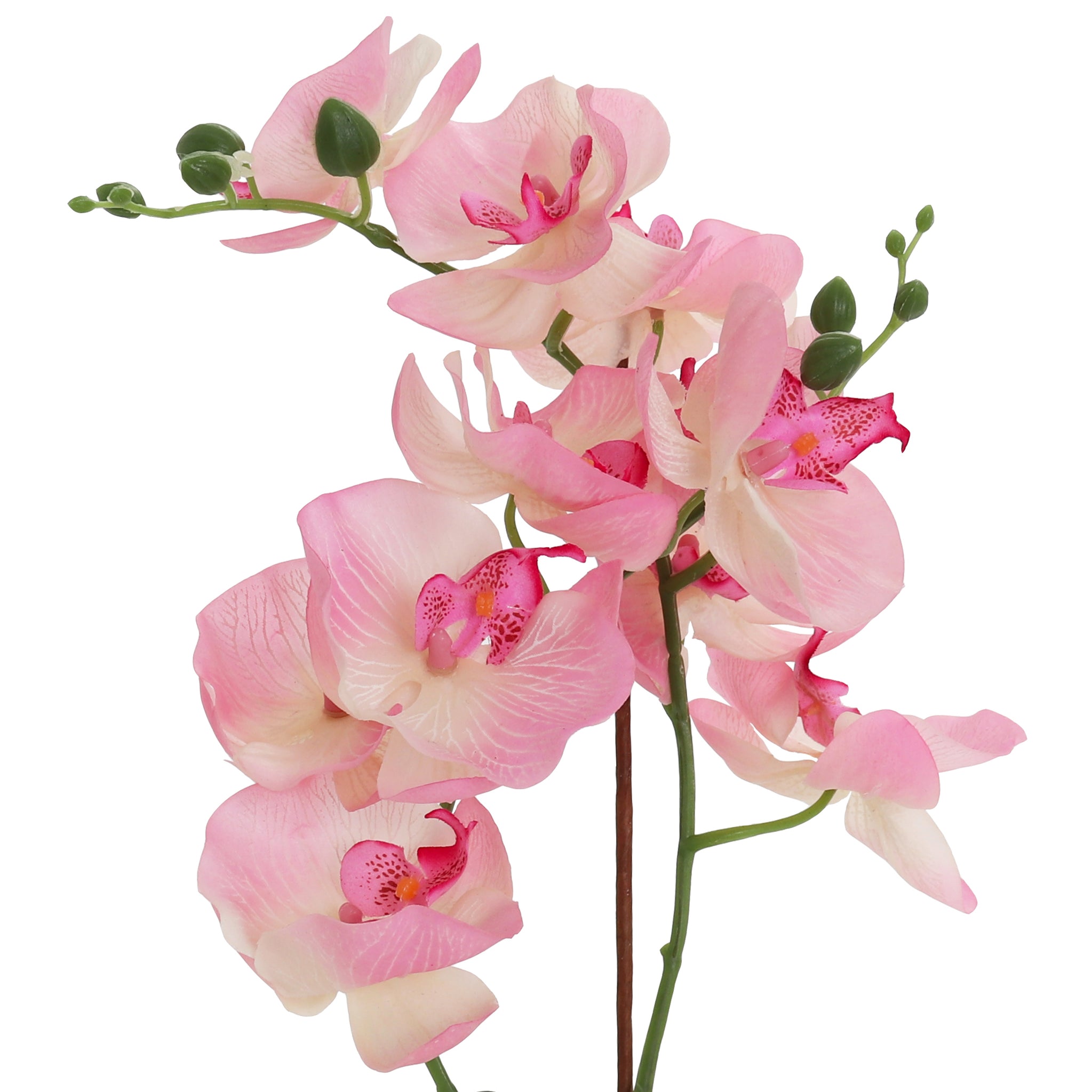 Light Pink Artificial Orchid - Large – 3rd Street Inn Greenery