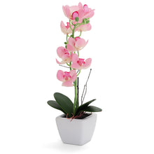 Load image into Gallery viewer, Light Pink Artificial Orchid - Medium
