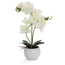 Load image into Gallery viewer, White Artificial Orchid - Large

