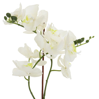 White Artificial Orchid - Large