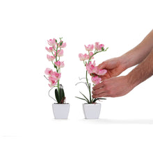 Load image into Gallery viewer, Light Pink Artificial Orchid - Medium
