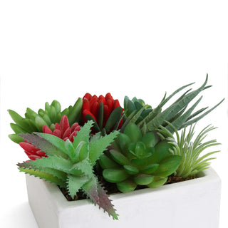 Succulent Garden in Concrete Planter - Mini - Tucson