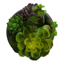 Load image into Gallery viewer, Succulent Garden in Concrete Planter - Mini - Madera
