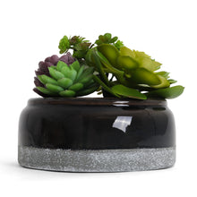 Load image into Gallery viewer, Succulent Garden in Concrete Planter - Mini - Madera
