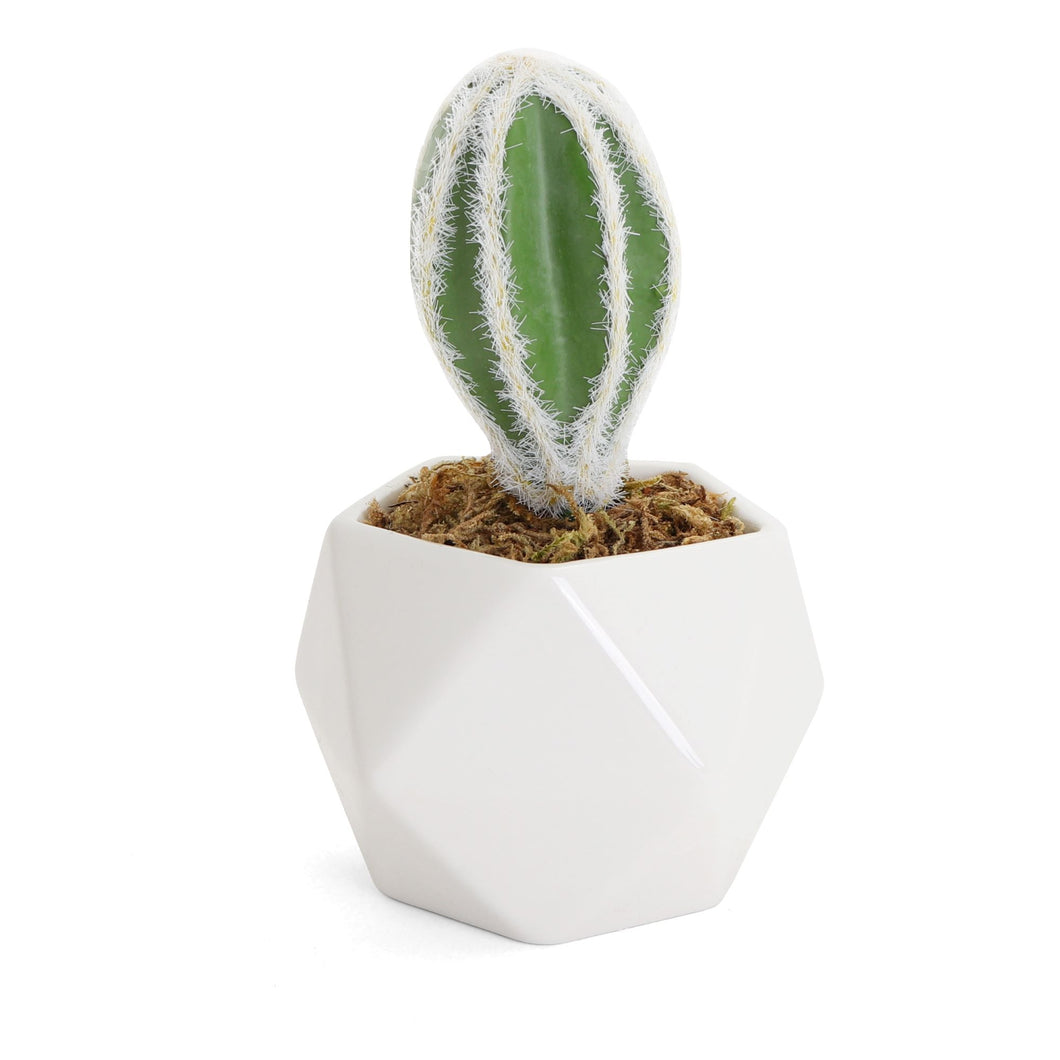 Bornbridge Artificial Echinocereus Cactus Succulent