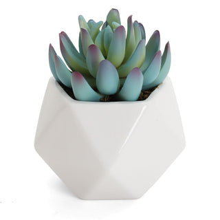 Artificial Graptoveria Succulent