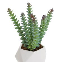 Load image into Gallery viewer, Artificial Crassula Marnierana Succulent
