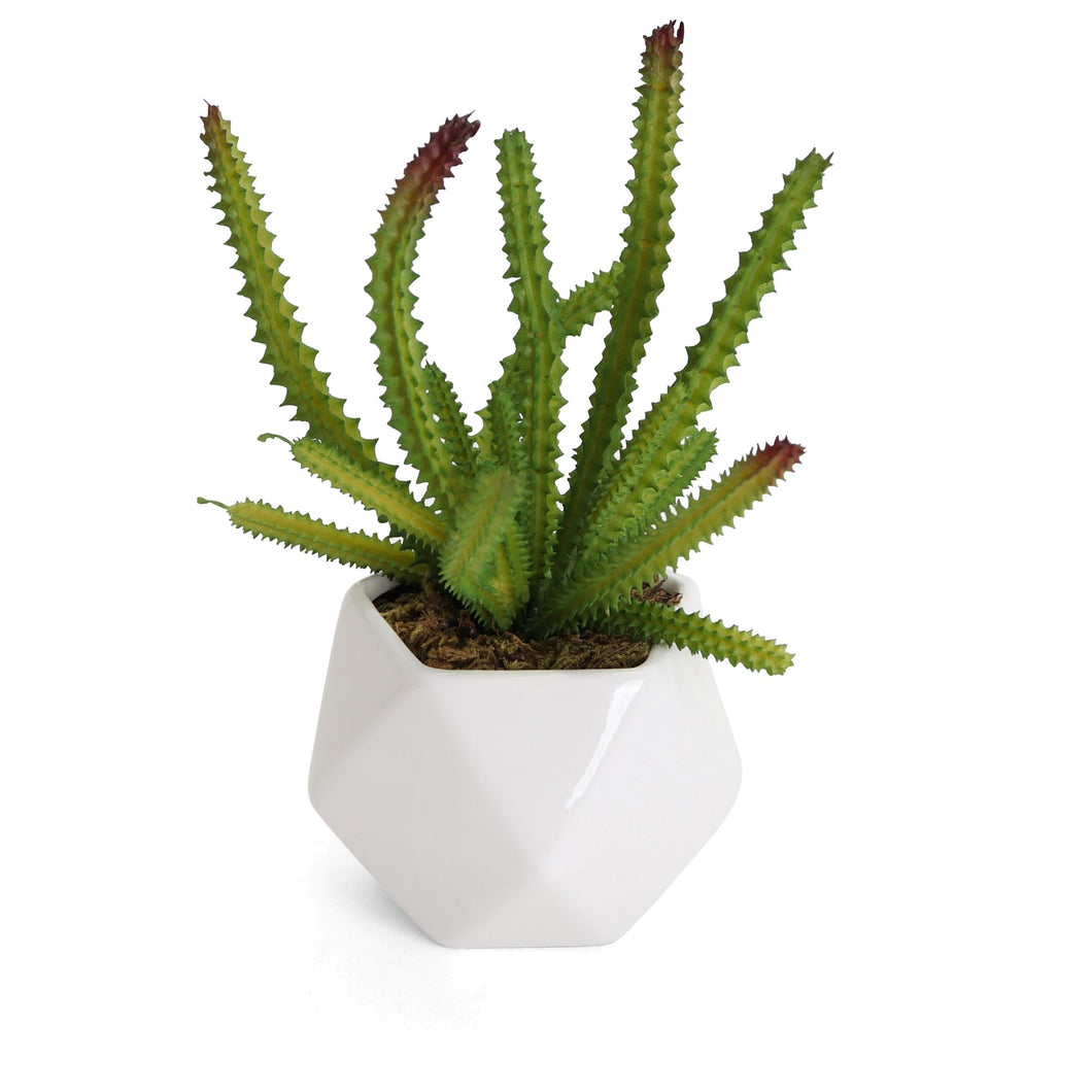 Artificial Echinocereus Pentalophus Cactus Succulent