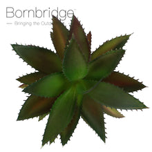 Load image into Gallery viewer, Bornbridge - Artificial Bromeliad Succulent

