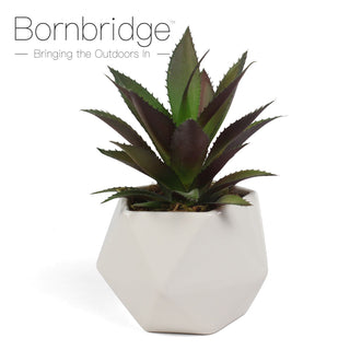 Bornbridge - Artificial Bromeliad Succulent