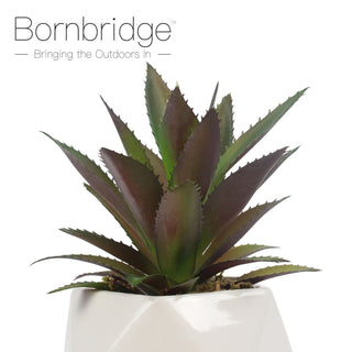 Bornbridge - Artificial Bromeliad Succulent