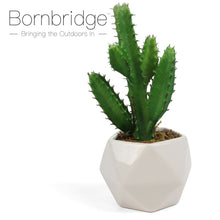 Load image into Gallery viewer, Bornbridge - Artificial Cactus Succulent
