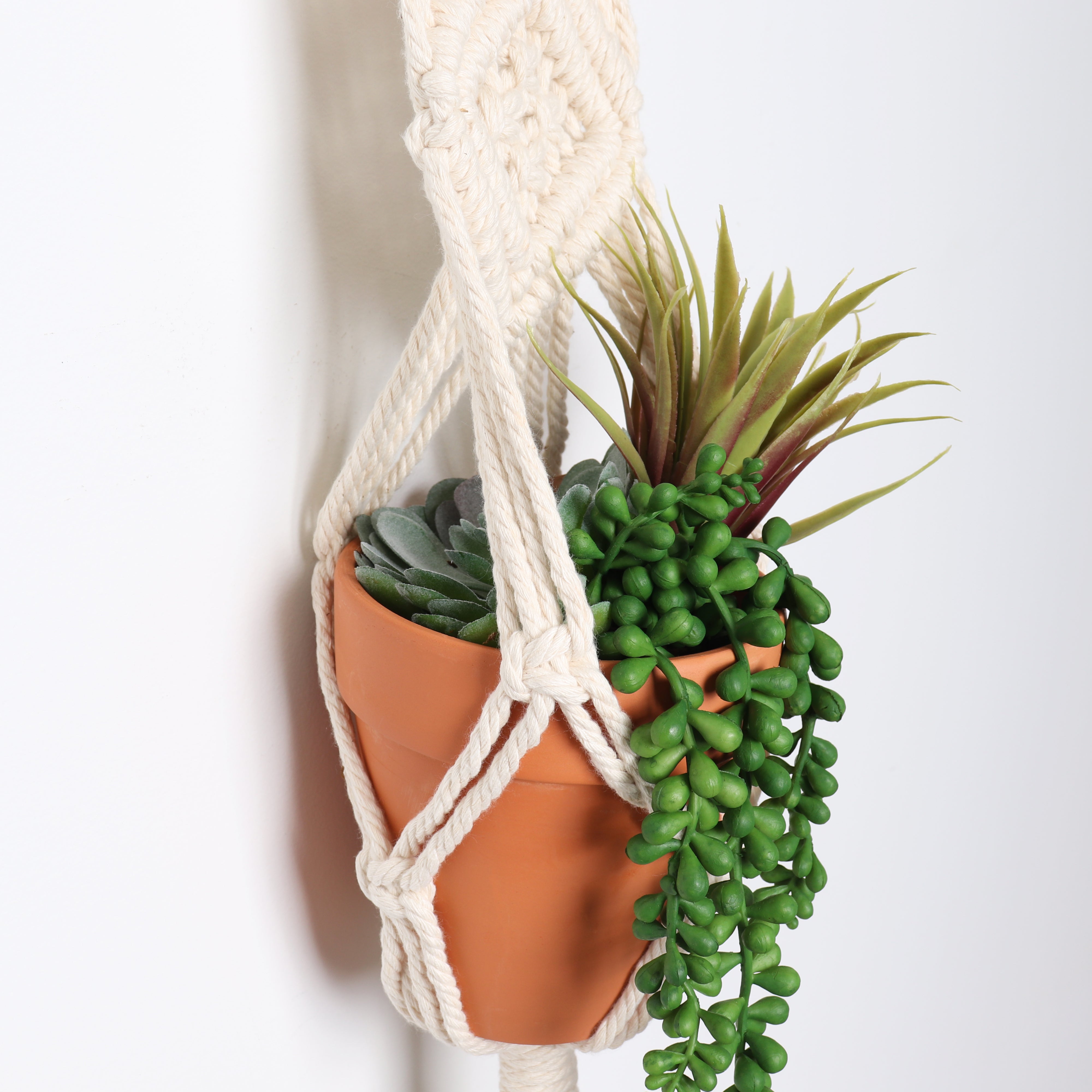 succulent plant hangers Bornbridge Macrame Artificial Succulents in Macrame Hanging Planter (2 pack)