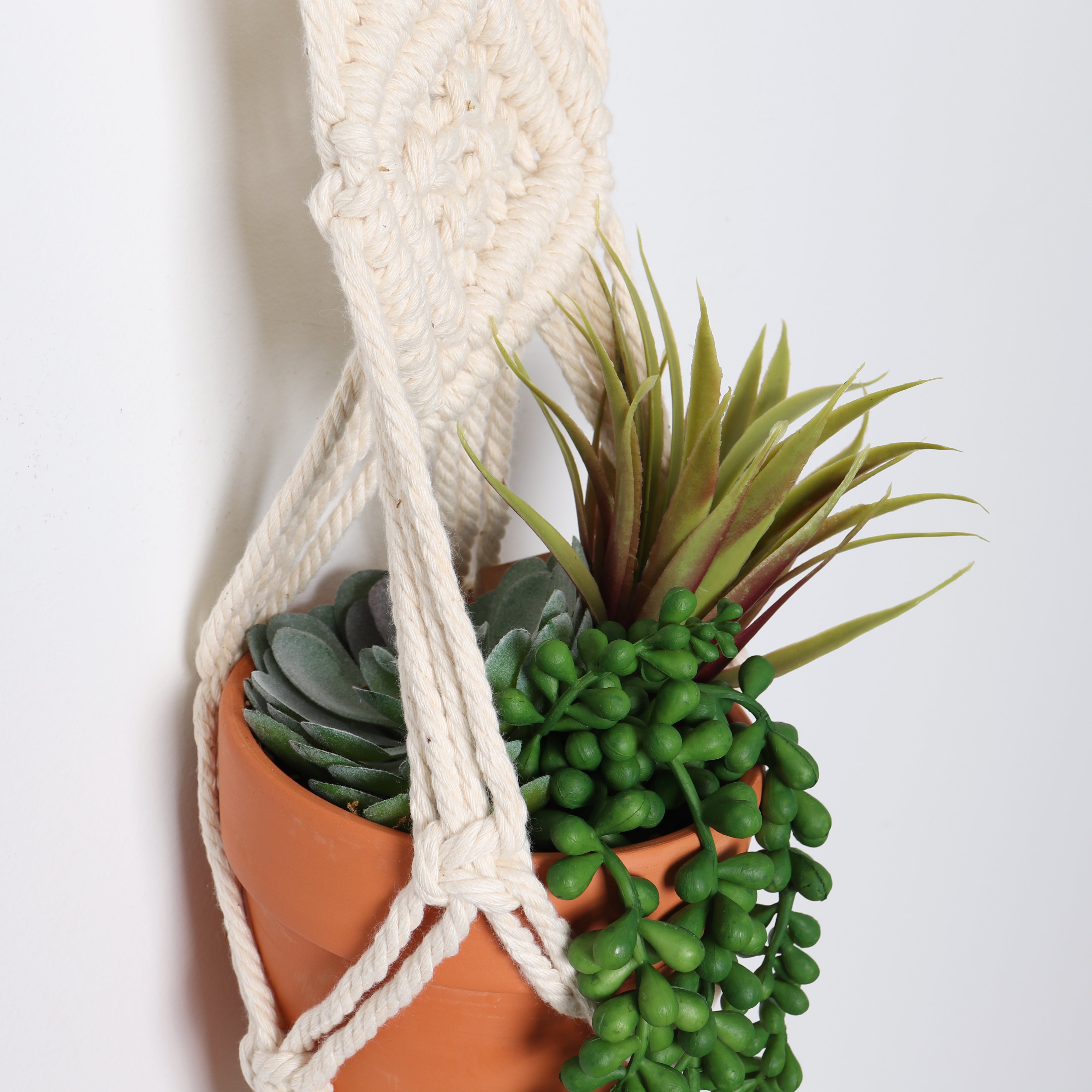 opalhouse macrame plant hanger Bornbridge Macrame Artificial Succulents in Macrame Hanging Planter (2 pack)