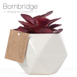 Bornbridge - Artificial Kalanchoe Adans Succulent