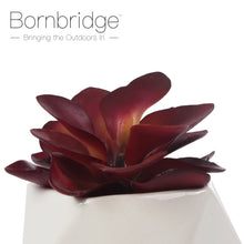Load image into Gallery viewer, Bornbridge - Artificial Kalanchoe Adans Succulent
