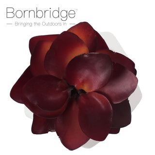 Bornbridge - Artificial Kalanchoe Adans Succulent
